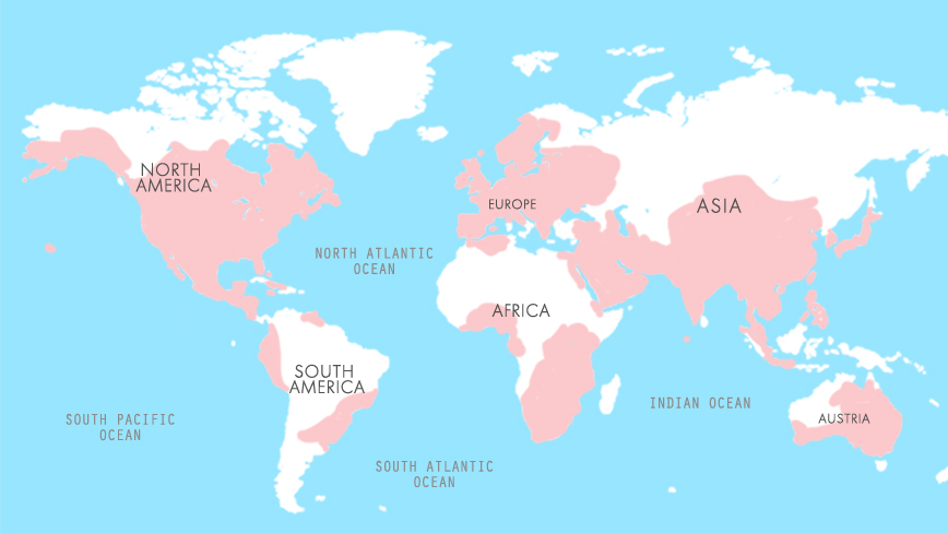 member distribution map